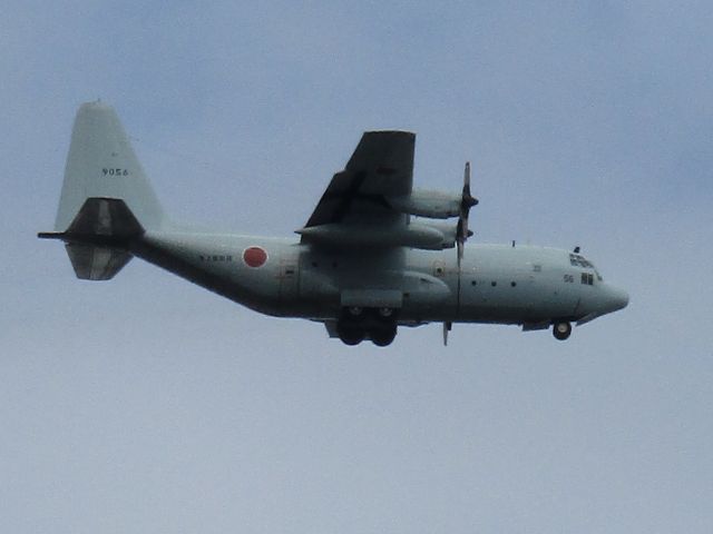 Lockheed C-130 Hercules (N9056) - Zama,Kanagawa,Japan