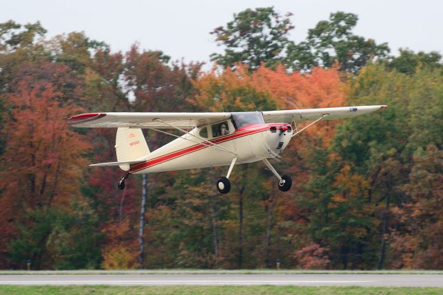 Cessna 140 (N89864) - Fall colors are here!