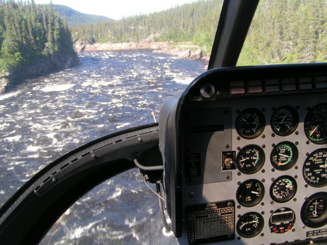 C-FUHL — - Eagle River Labrador.