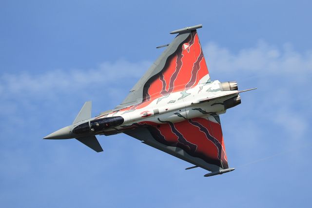 EUROFIGHTER Typhoon (7LWC)