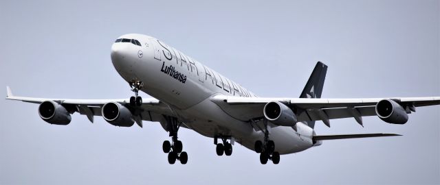 Airbus A340-300 (D-AIGN) - FRA  3-19-2023