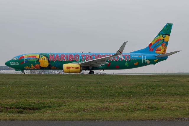 Boeing 737-800 (D-ATUJ) - "Paradiesvogel" / Haribo Tropifrutti