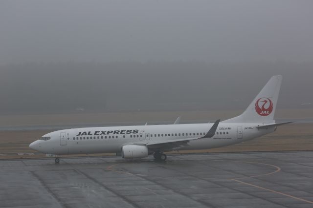 Boeing 737-800 (JA326J)