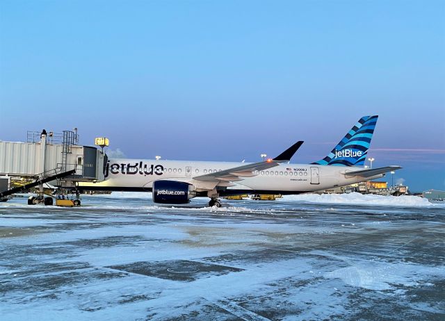 Airbus A220-300 (N3008J) - Day After 