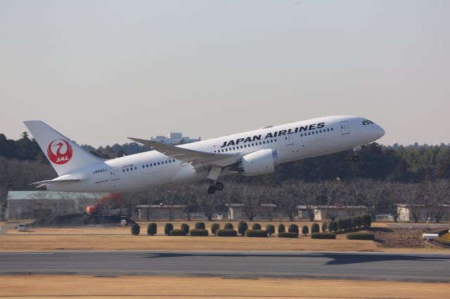 Boeing 787-8 (JA842J)