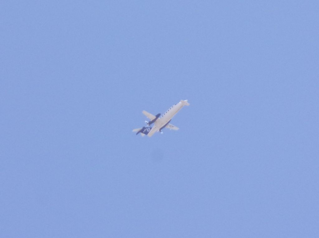 Piaggio P.180 Avanti (F-HCPE) - Date Photo 15/04/20