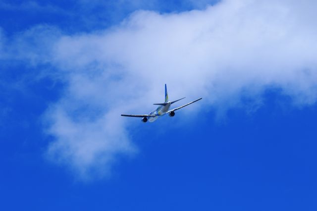 BOEING 767-300 (JA98AD)