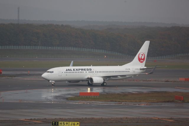 Boeing 737-800 (JA340J)