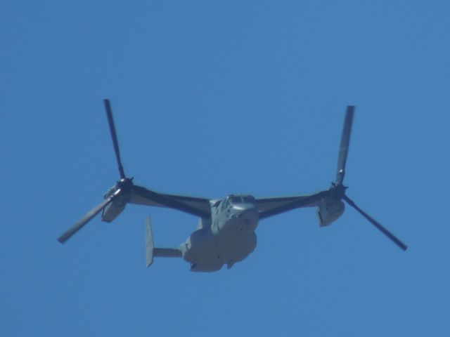 Bell V-22 Osprey — - An Osprey at Thunder in the Desert 2014.