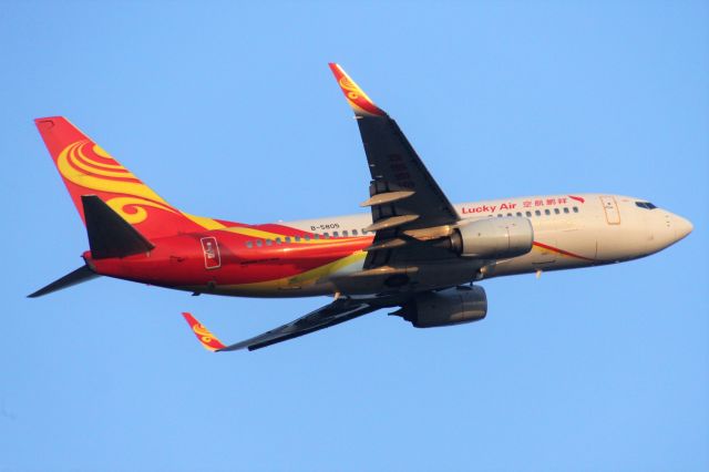 Boeing 737-500 (B-5805) - TIPS:Select full-size and wait for a while for better view.