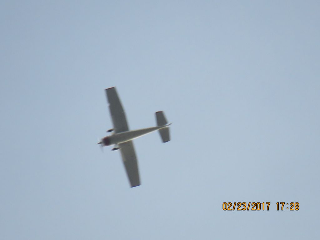 Cessna Skywagon 180 (N3100C)