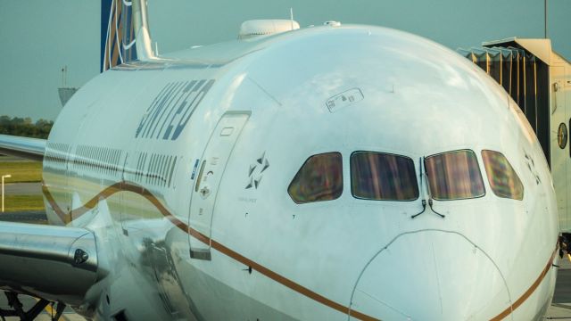 Boeing 787-8 — - I was at the gate waiting for my flight, so walking around the whole terminal.