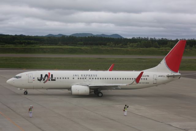 Boeing 737-800 (JA307J)