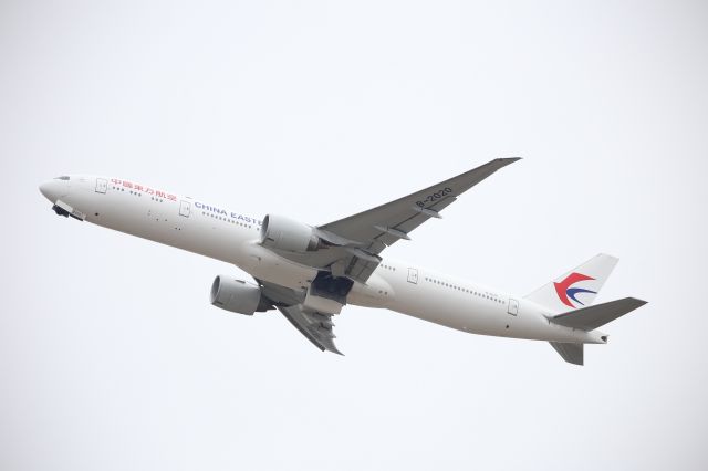 BOEING 777-300 (B-2020)