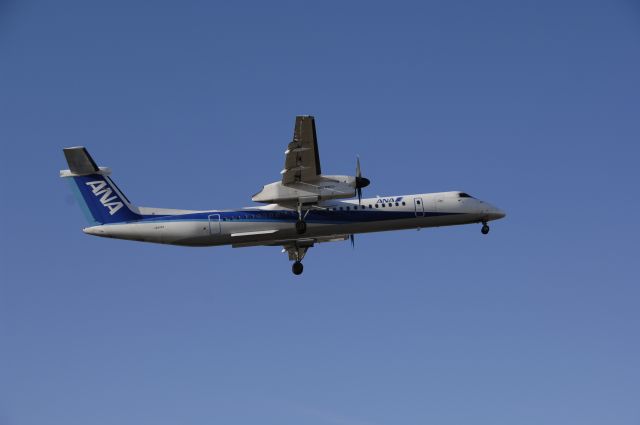 JA842A — - Final Approach to Narita Intl Airport R/W34R on 2011/1/1 ANA c/s