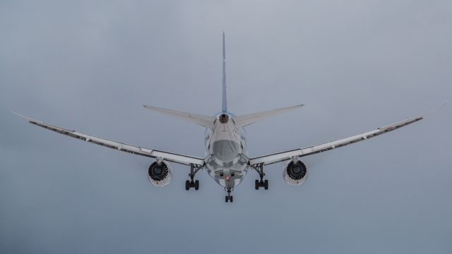 Boeing 787-8 (JA809A) - All Nippon Airways / Boeing787-881br /Dec.05.2015 Hakodate Airport [HKD/RJCH] JAPAN