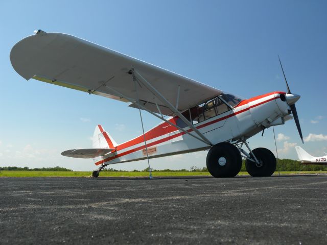 Piper L-21 Super Cub (N7177D)