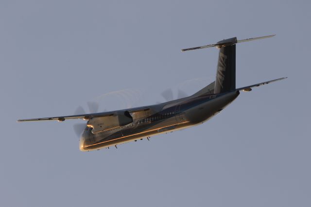 de Havilland Dash 8-400 (JA464A) - September 29th 2019:HKD-CTS.
