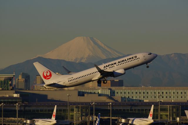 Boeing 737-700 (JA301J)