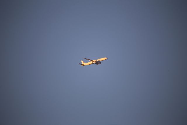BOEING 777-300ER (B-7369)