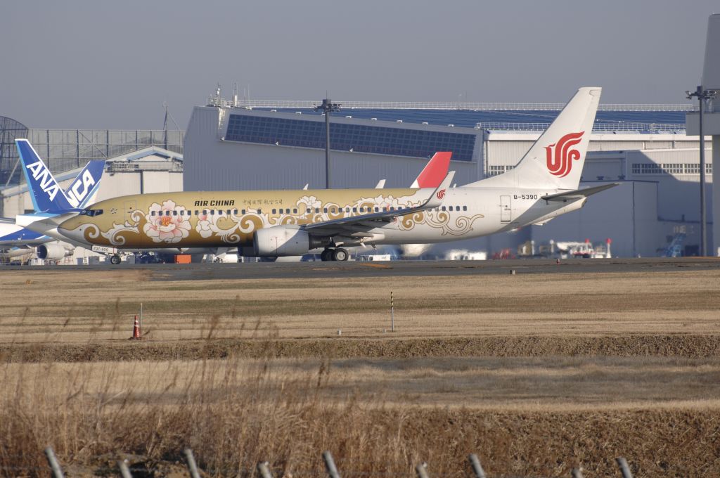 Boeing 737-800 (B-5390) - Departure at Narita Intl Airport 34L on 2010/12/31 Gold Tree Peony c/s