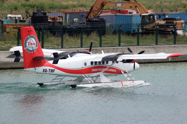 De Havilland Canada Twin Otter (8Q-TMF) - Taxiing for departure on 3-Jan-24.