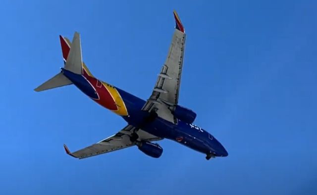 Boeing 737-800 (N8302F) - Planespotting- Southwest Airlines Boeing 737-800