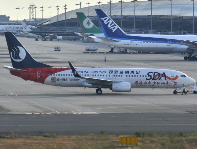 Boeing 737-800 (B-1983)