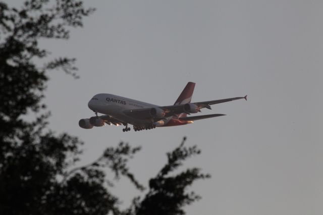 Airbus A380-800 (VH-OQL)