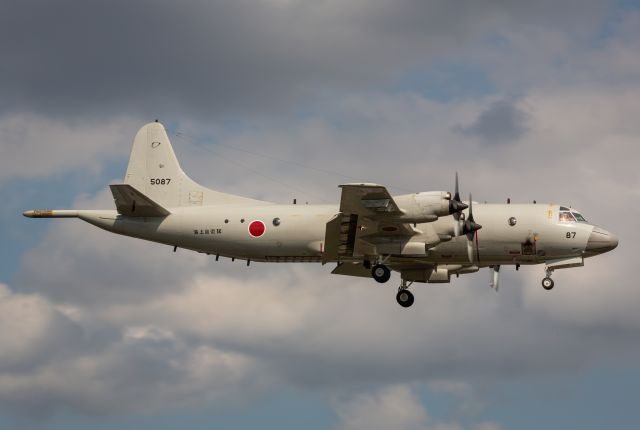 Lockheed P-3 Orion (N5087)