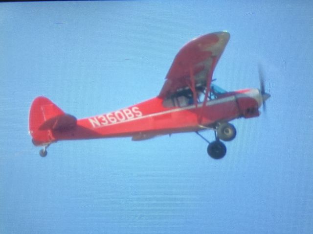Piper L-21 Super Cub (N360BS)