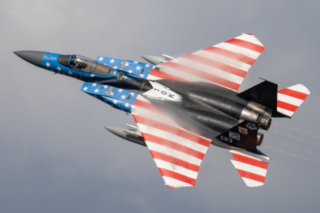 McDonnell Douglas F-15 Eagle (85-0113)