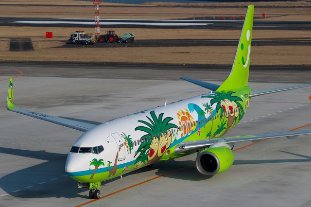 Boeing 737-800 (JA803X) - 「ナッシージェット宮崎(Nassy jet miyazaki)」br /Exeggutor(Nassy) is Pokémon character