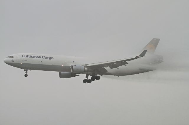 Boeing MD-11 (D-ALCK) - date: 14-Oct-2014