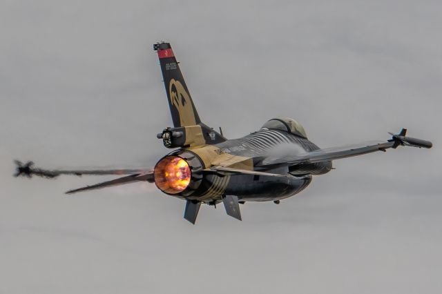 Lockheed F-16 Fighting Falcon (88-0029)