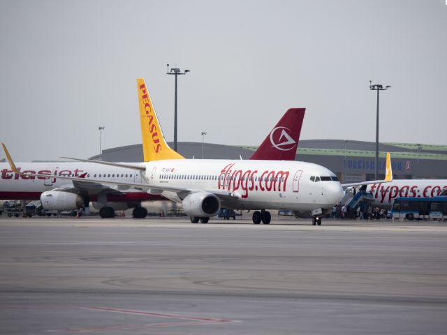 Boeing 737-800 (TC-AAT) - Sabiha Gökçen airport, Istanbul, Turkey | 15 SEP 2014.