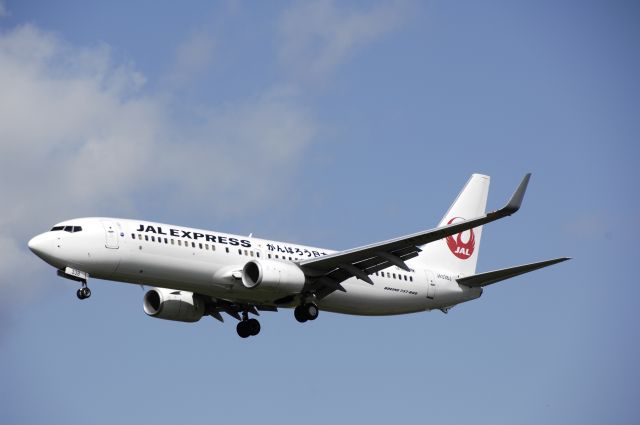 Boeing 737-800 (JA338J) - Final Approach to Narita Intl Airport Rwy16L on 2013/08/20 "Ganbarou Nippon Logo"