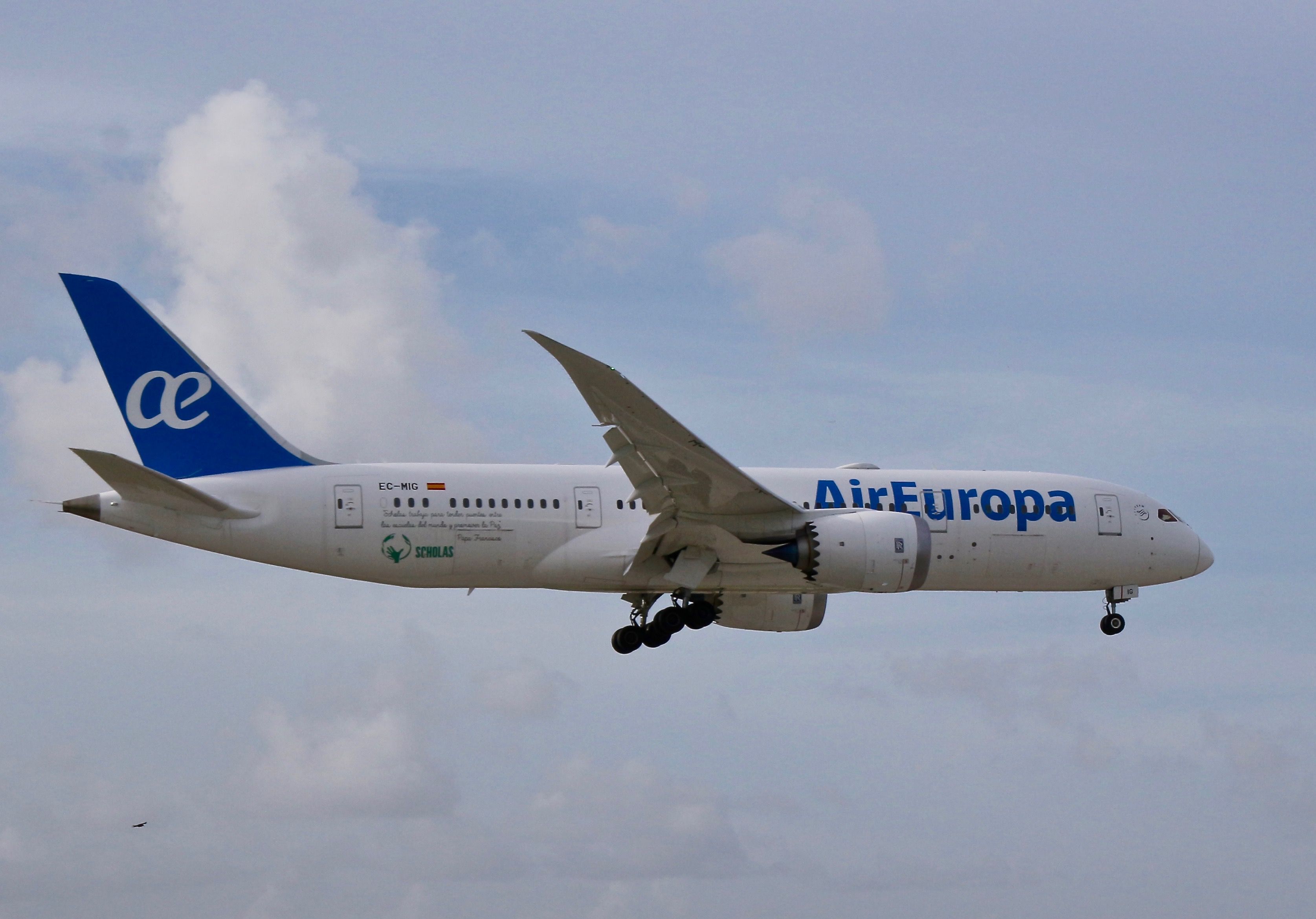 Boeing 787-8 (EC-MIG)