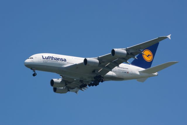 Airbus A380-800 (D-AIME)