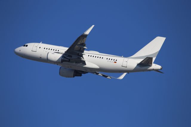 Airbus A319 (D-ALEX)