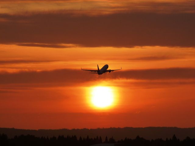 Boeing 737-700 — - Sunset at PDX.