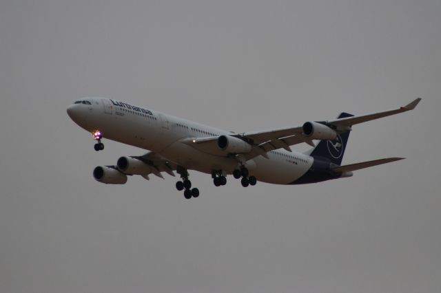 Airbus A340-300 (D-AIGU) - Lufthansa A340 on final to denver.