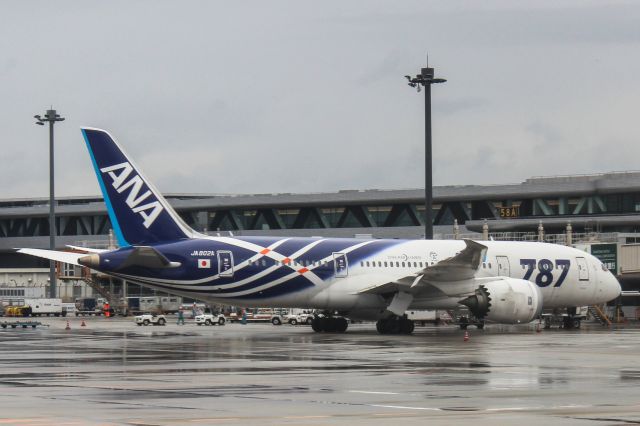 Boeing 787-8 (JA802A) - Dreamliner cs