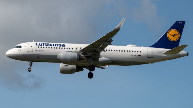 Airbus A320 (D-AIUA)