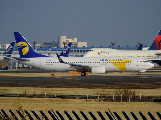 Boeing 737-800 (EI-CXV)