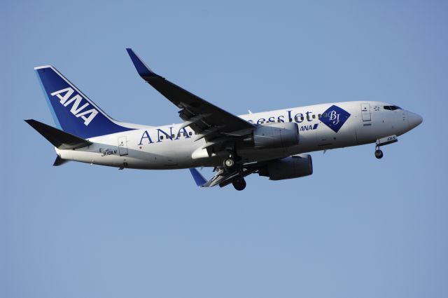 Boeing 737-700 (JA10AN) - Final Approach to NRT Airport R/W34L on 2012/01/04 ANA Business Jet