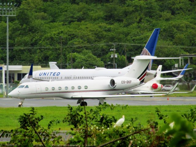 Gulfstream Aerospace Gulfstream V (CS-DKF)