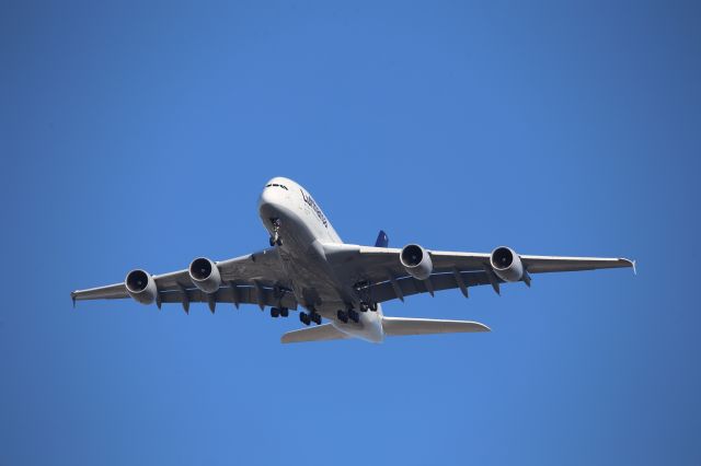 Airbus A380-800 (D-AIMN)