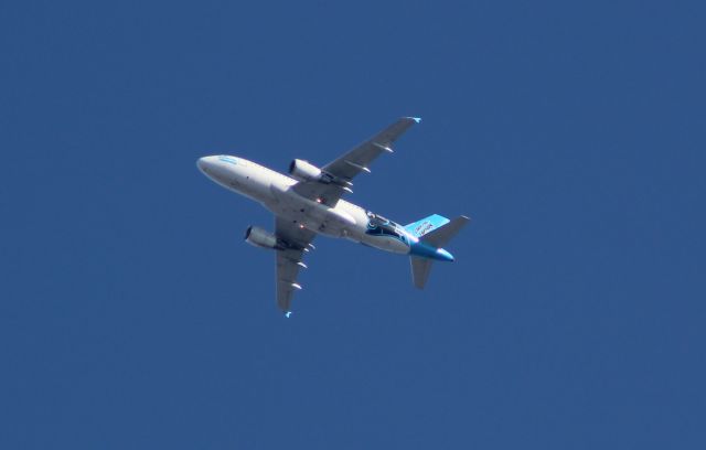 Airbus A319 — - American Airlines Carolina Panthers plane flying into KC