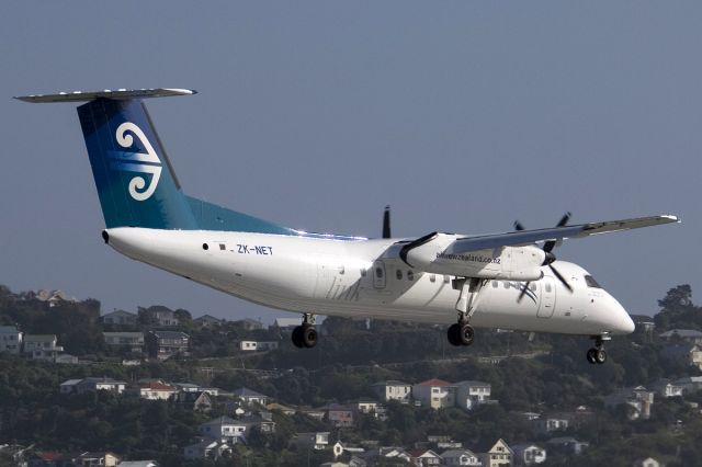 de Havilland Dash 8-300 (ZK-NET)